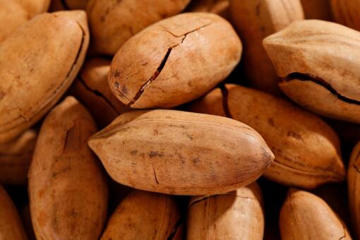 �̸�������Ǯ-��ͼ��