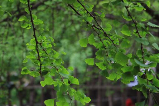 �����������Ǯһ��-��ͼ��