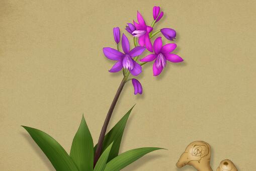 ��ܸ������ͼ