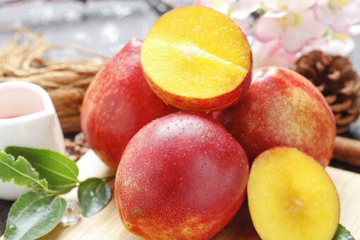 油桃树——摄图