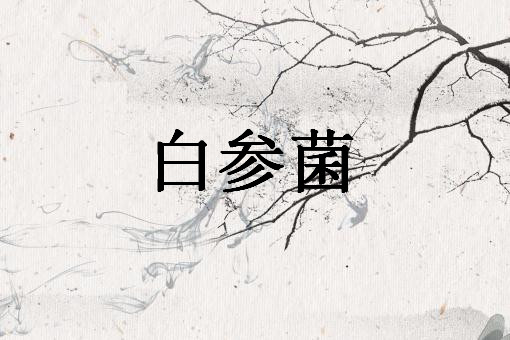 �ײξ�������ͼ