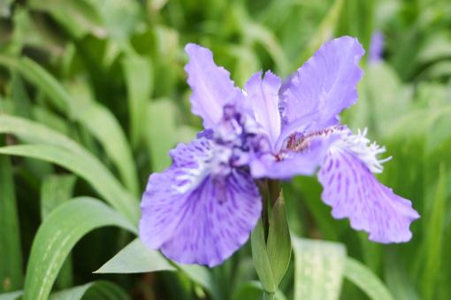 �β��������ͼ