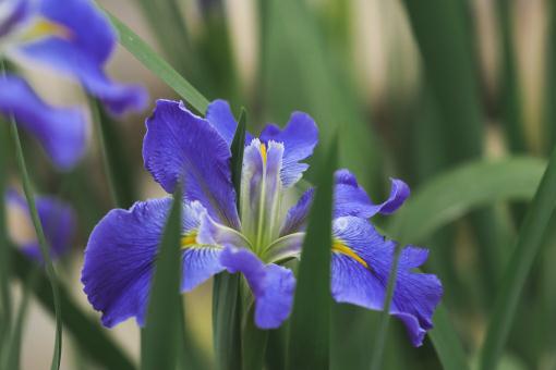 �β��������ͼ