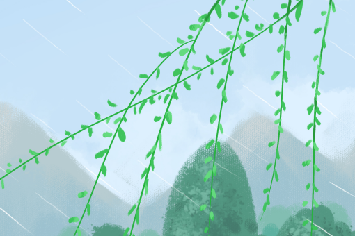 ����������ͼ