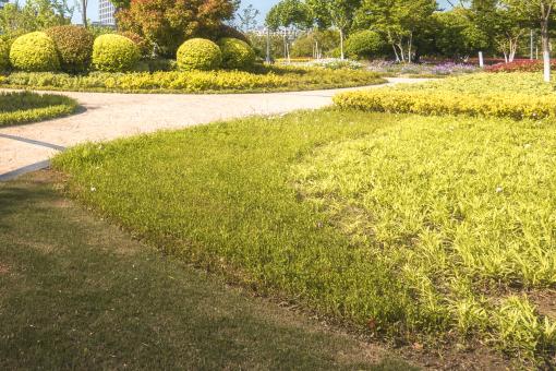 СҶŮ�ꡪ����ͼ