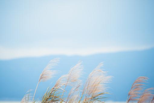 «έ������ͼ