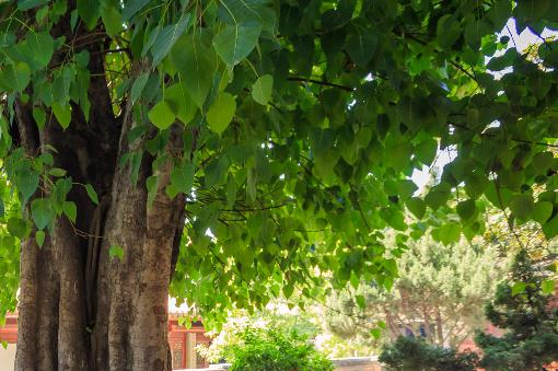 ������������ͼ