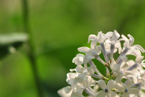 СҶ���㡪����ͼ