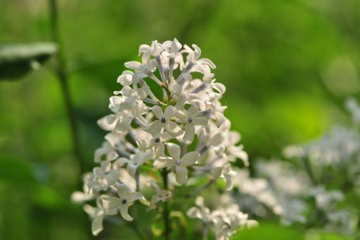 СҶ���㡪����ͼ