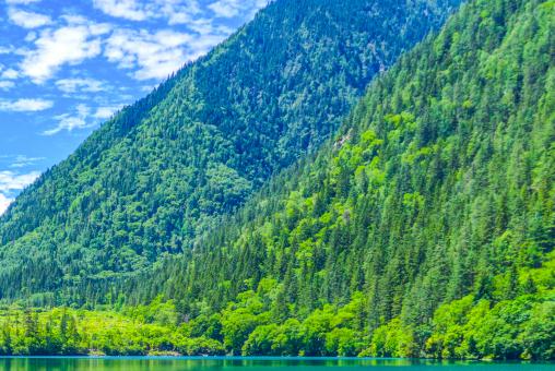 �׻���������ͼ