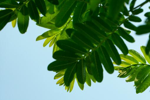 ����������ͼ