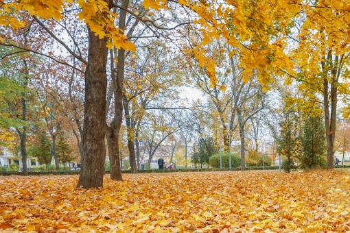 ��ͩ������ͼ