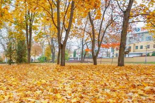 ��ͩ������ͼ