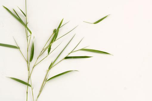 ����������ͼ