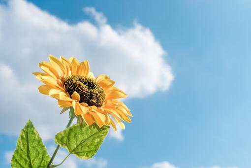 �Ϳ�������ͼ