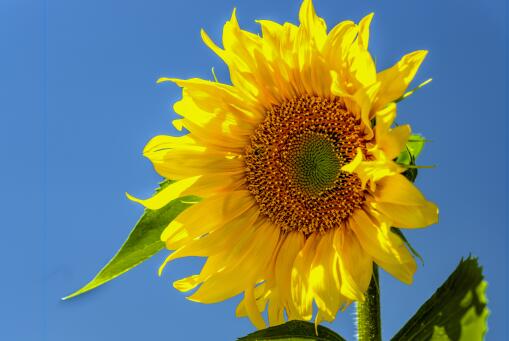 �Ϳ�������ͼ