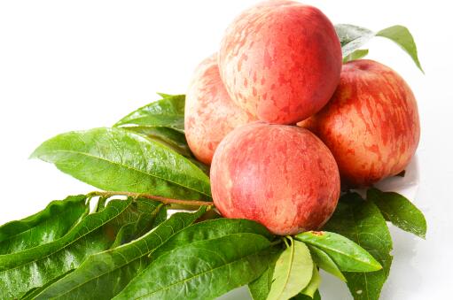 ���ҡ�����ͼ