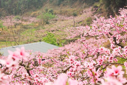 ���ҡ�����ͼ