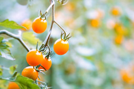 ӣ�ҷ��ѡ�����ͼ