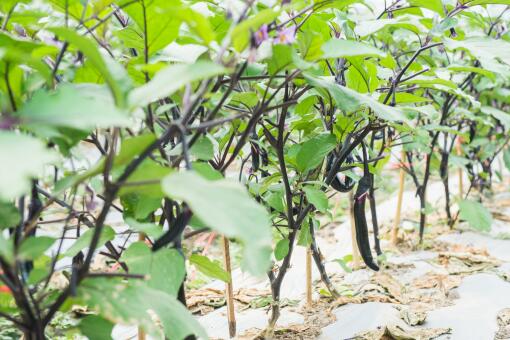 ����-��ͼ��