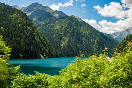 ������������ͼ