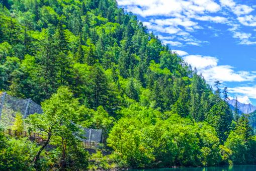 ������������ͼ