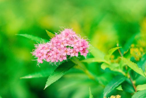 ���߾ա�����ͼ