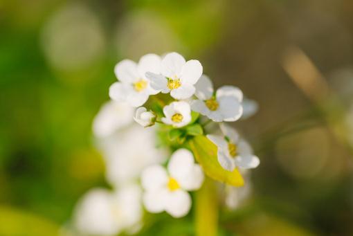 ���߾ա�����ͼ