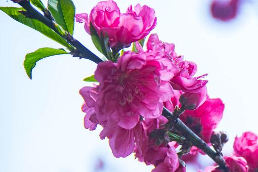 ���ҡ�����ͼ