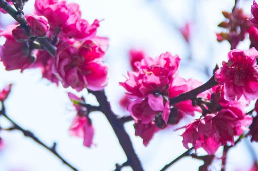 ���ҡ�����ͼ