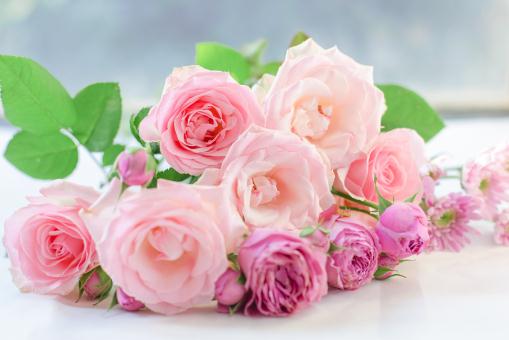 õ�塪����ͼ