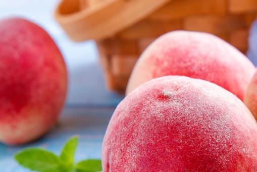 ë�ҡ�����ͼ