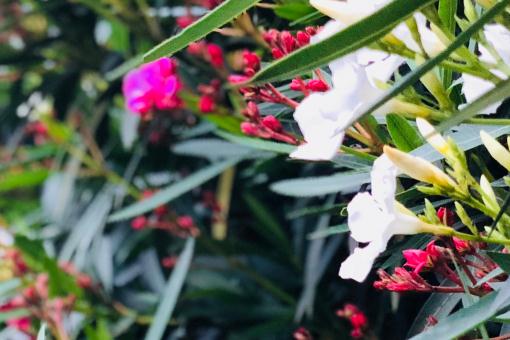 �����ҡ�����ͼ