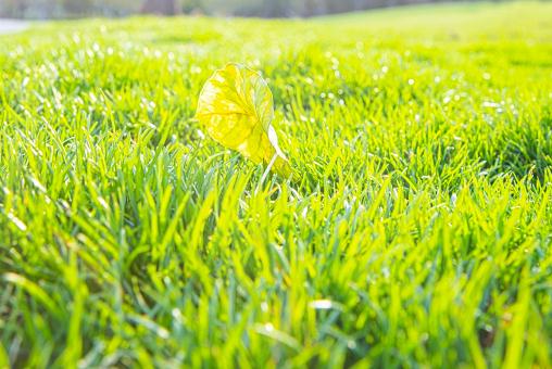 �ؽײݡ�����ͼ