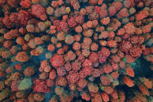 ��ɽɼ������ͼ