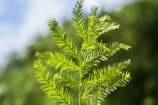 ��ɽɼ������ͼ