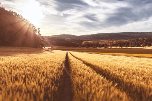 ���󡪡���ͼ