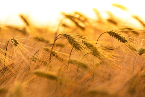 ���󡪡���ͼ