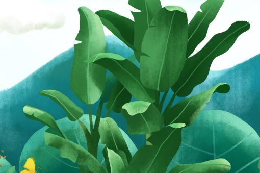 �Ž��󡪡���ͼ