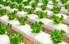 ˮ���߲�����Щ����Ҫ��Щ��ʩ���豸����ֲ�����������ģ�