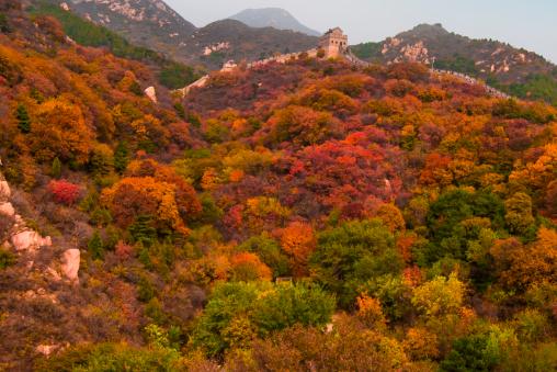 ʯ�㡪����ͼ