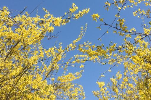 ���̡�����ͼ