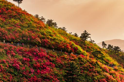 �ľ顪����ͼ