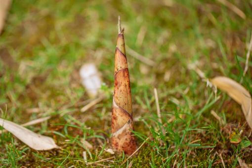 ���񡪡���ͼ