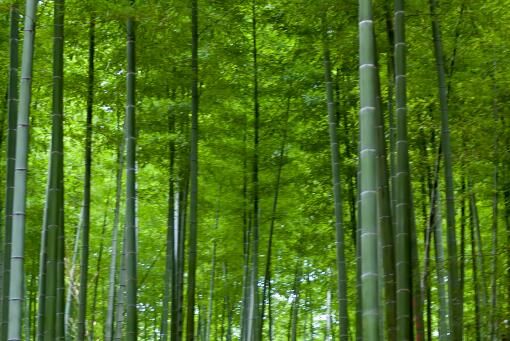 ���񡪡���ͼ