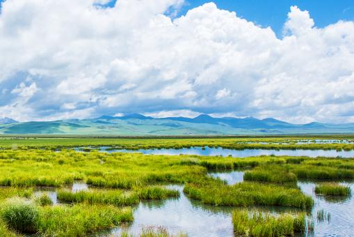 ˮ�С�����ͼ