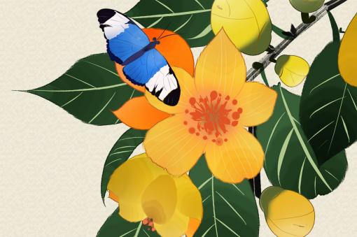 �𻨲衪����ͼ