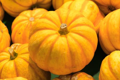 �Ϲϡ�����ͼ