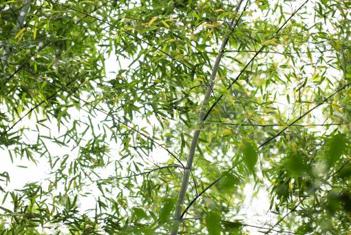 ë�񡪡���ͼ