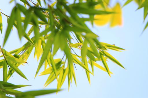 ë�񡪡���ͼ